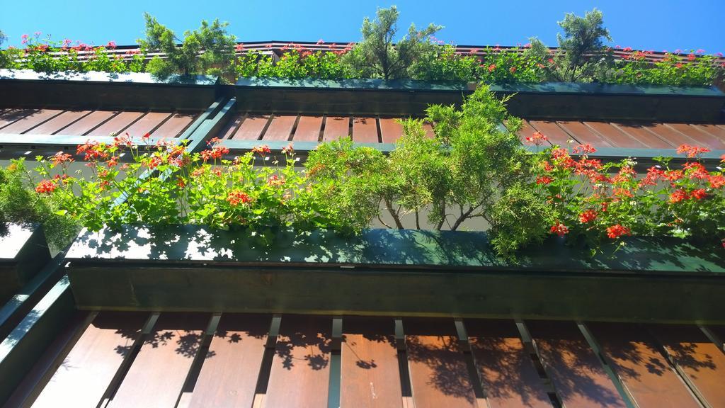 La Felce Bed & Breakfast Carisolo Bagian luar foto
